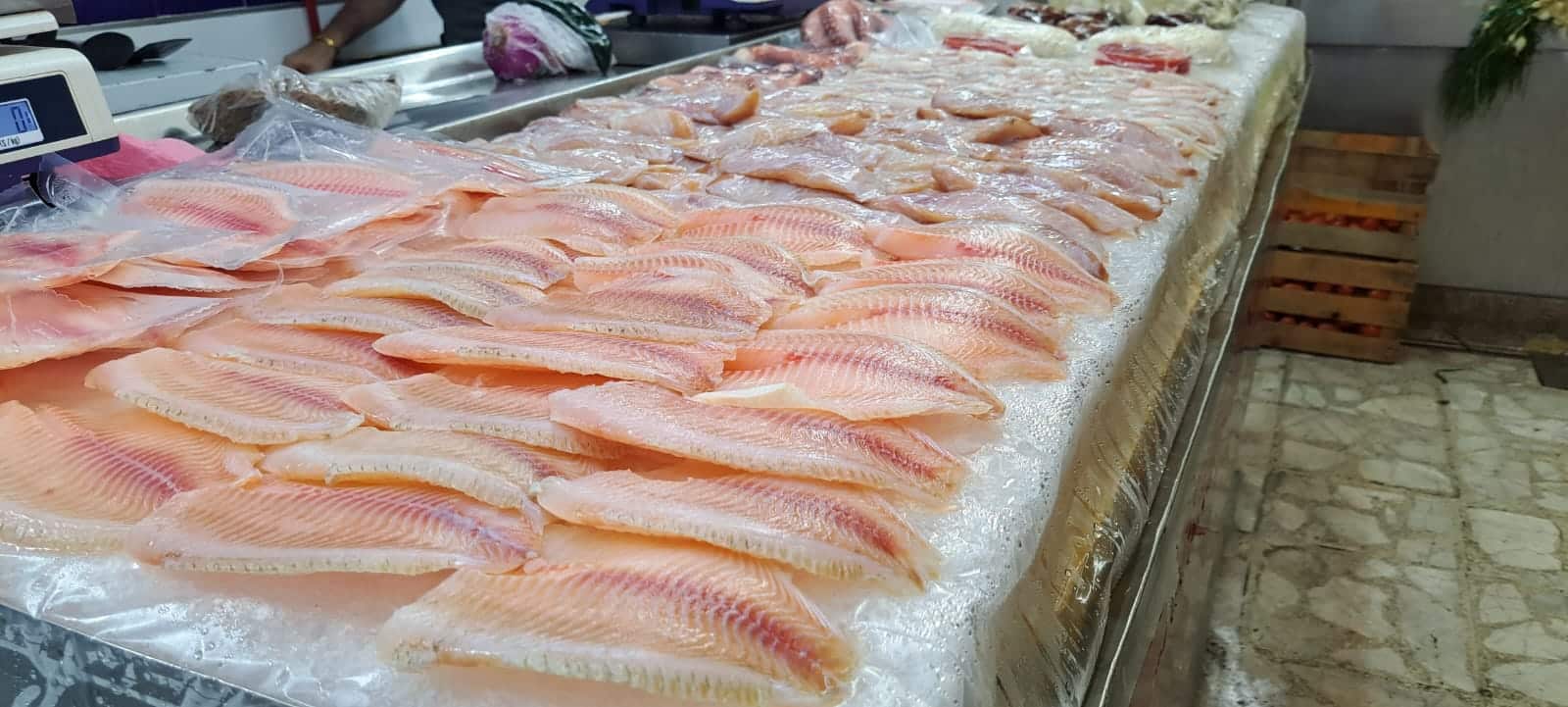 Venta de pescado fresco en la zona centro de Sinaloa
