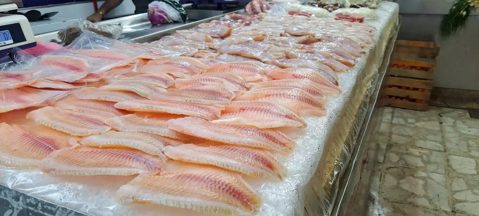 Venta de pescado fresco en la zona centro de Sinaloa