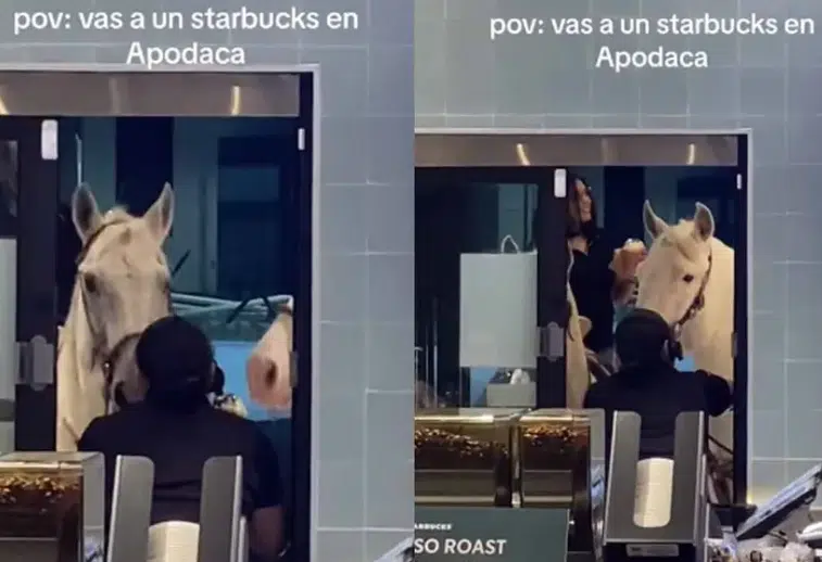 Jovencitas se hacen virales por llegar a caballo al Starbucks de Apodaca, NL