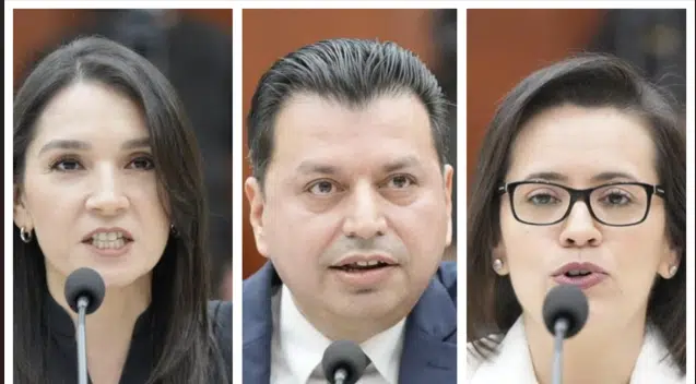 Abigail Noriega Félix, Felipe Alberto Valle Nieblas y Karla Patricia Zatarain Delgado
