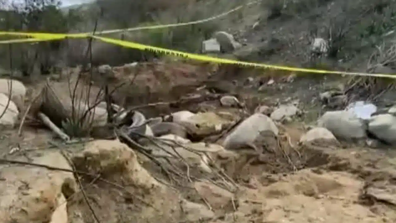 Colectivos hallan cuerpos en Tijuana mientras buscaba a hombre desaparecida