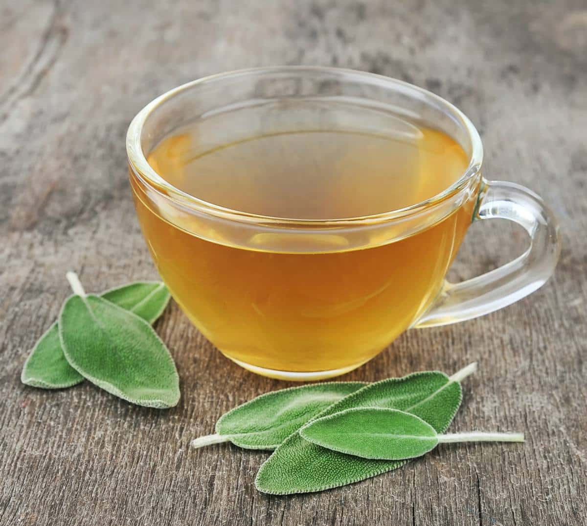Conoce los beneficios que tiene el té de salvia