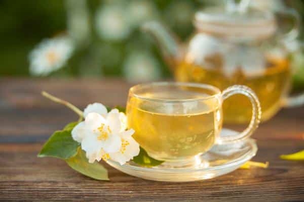 Conoce los beneficios y propiedades para la salud del té de jazmín