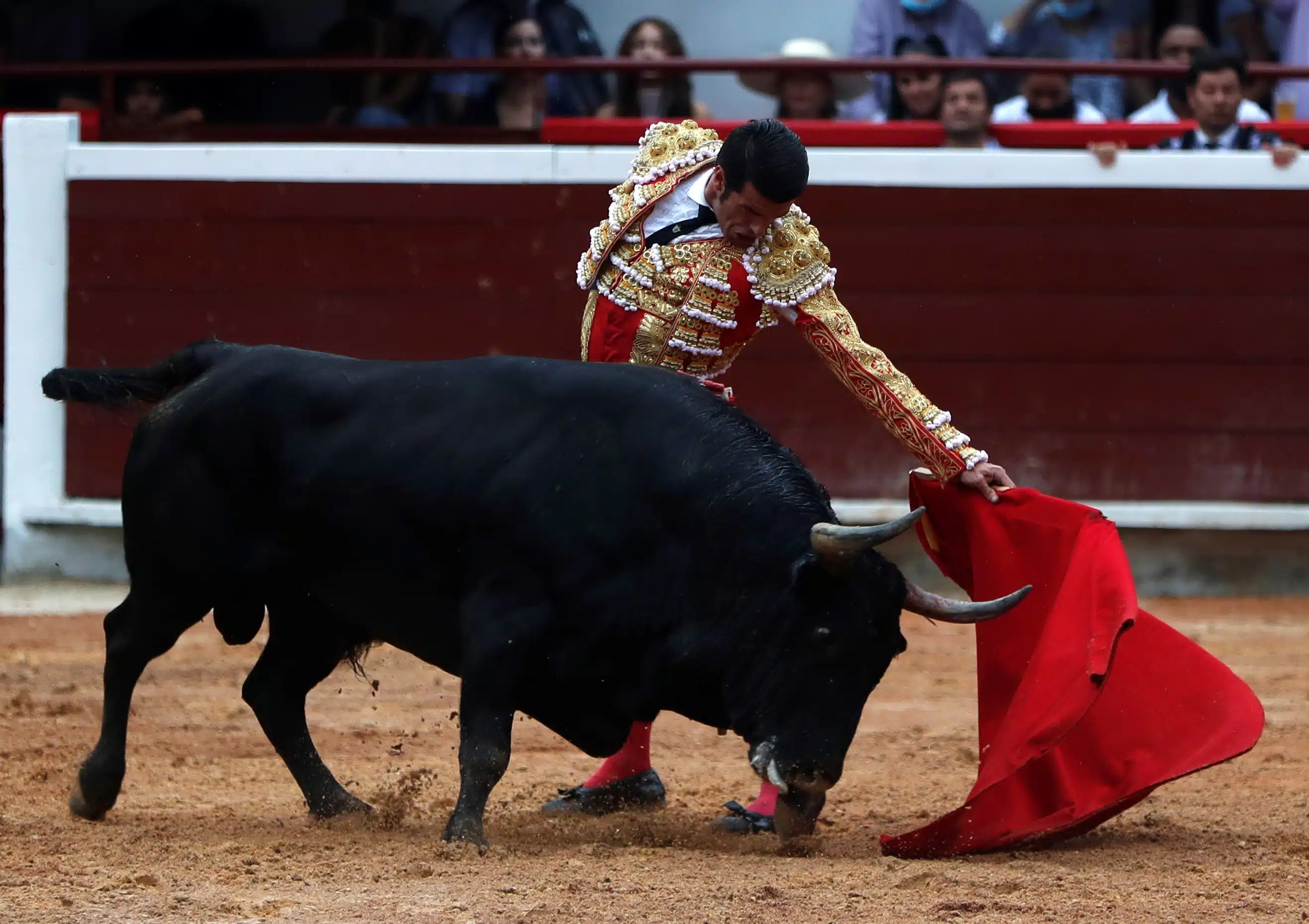 Corrida de toros en la Plaza México