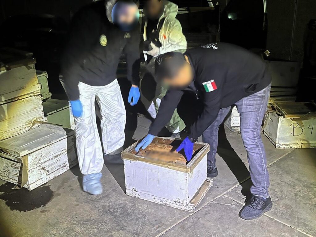Dos agentes de la FGR revisan cajas de madera con panales de abejas y droga