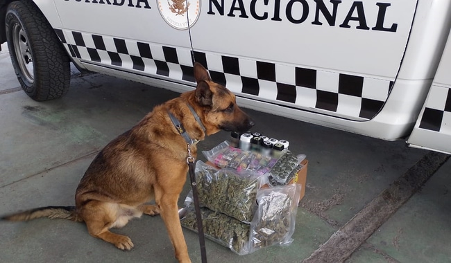Droga decomisada