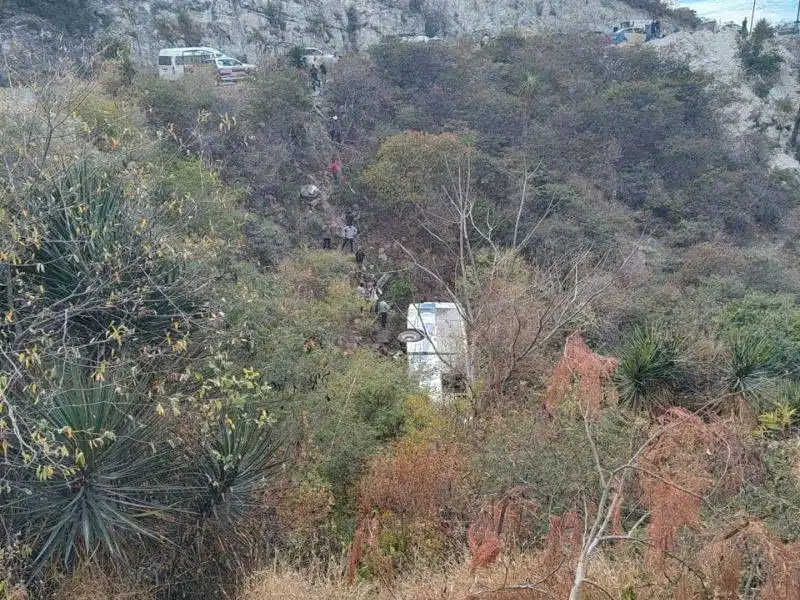 En Puebla, autobús cae a un barranco y resultan al menos 22 personas lesionadas