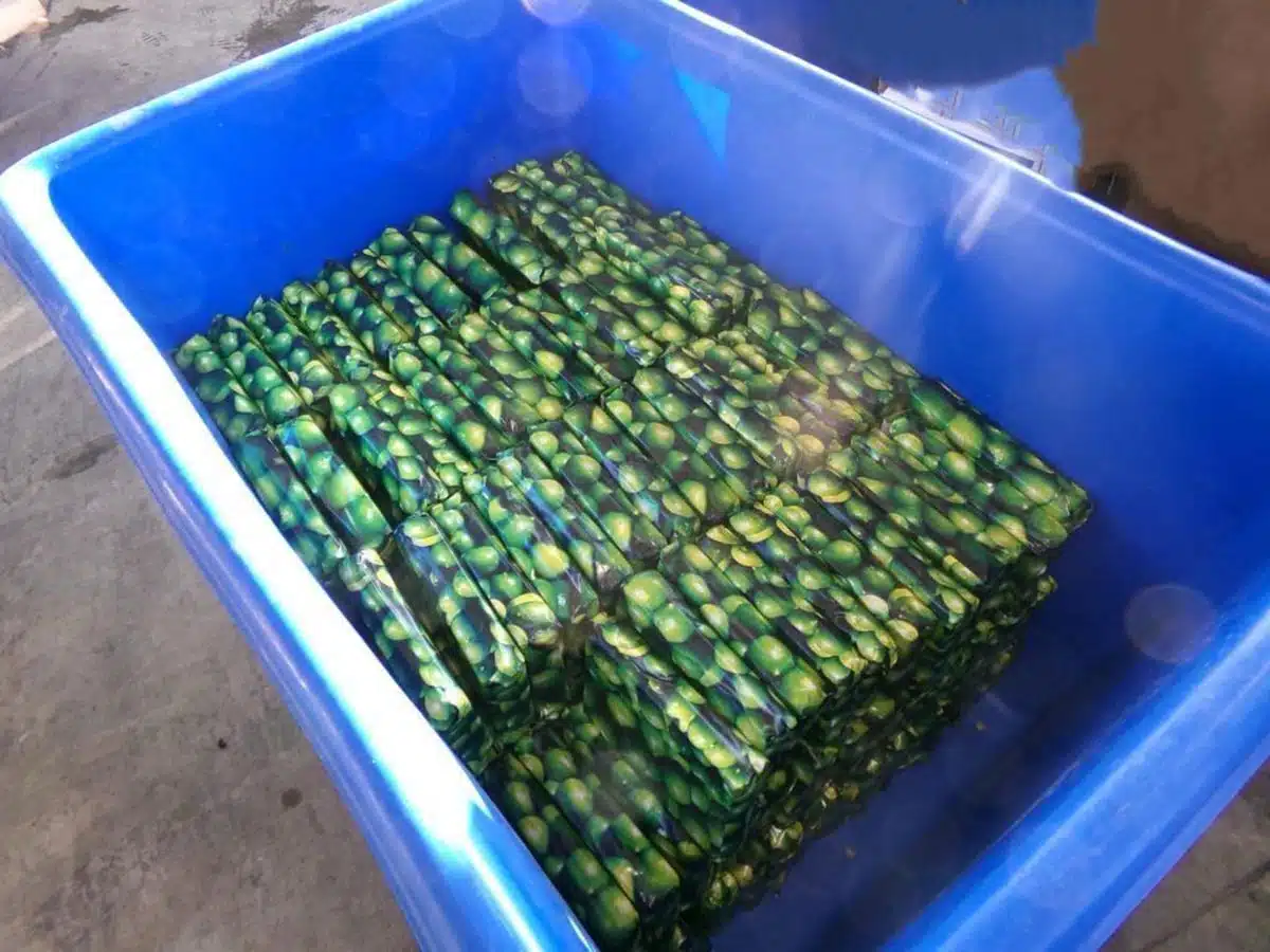 Encuentran 200 kilos de droga en cargamento de limones