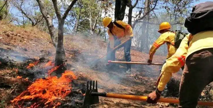 Fallecen cinco personas que combatían incendio forestal en Oaxaca