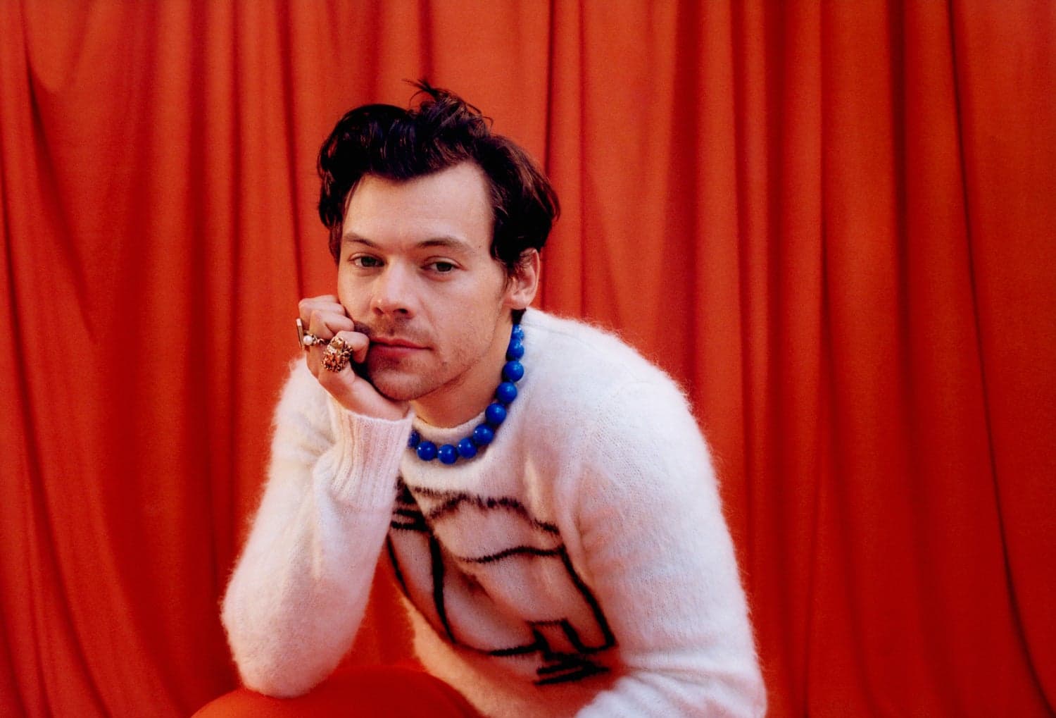 Fan de Harry Styles enfrenta cargos por acosar al cantante