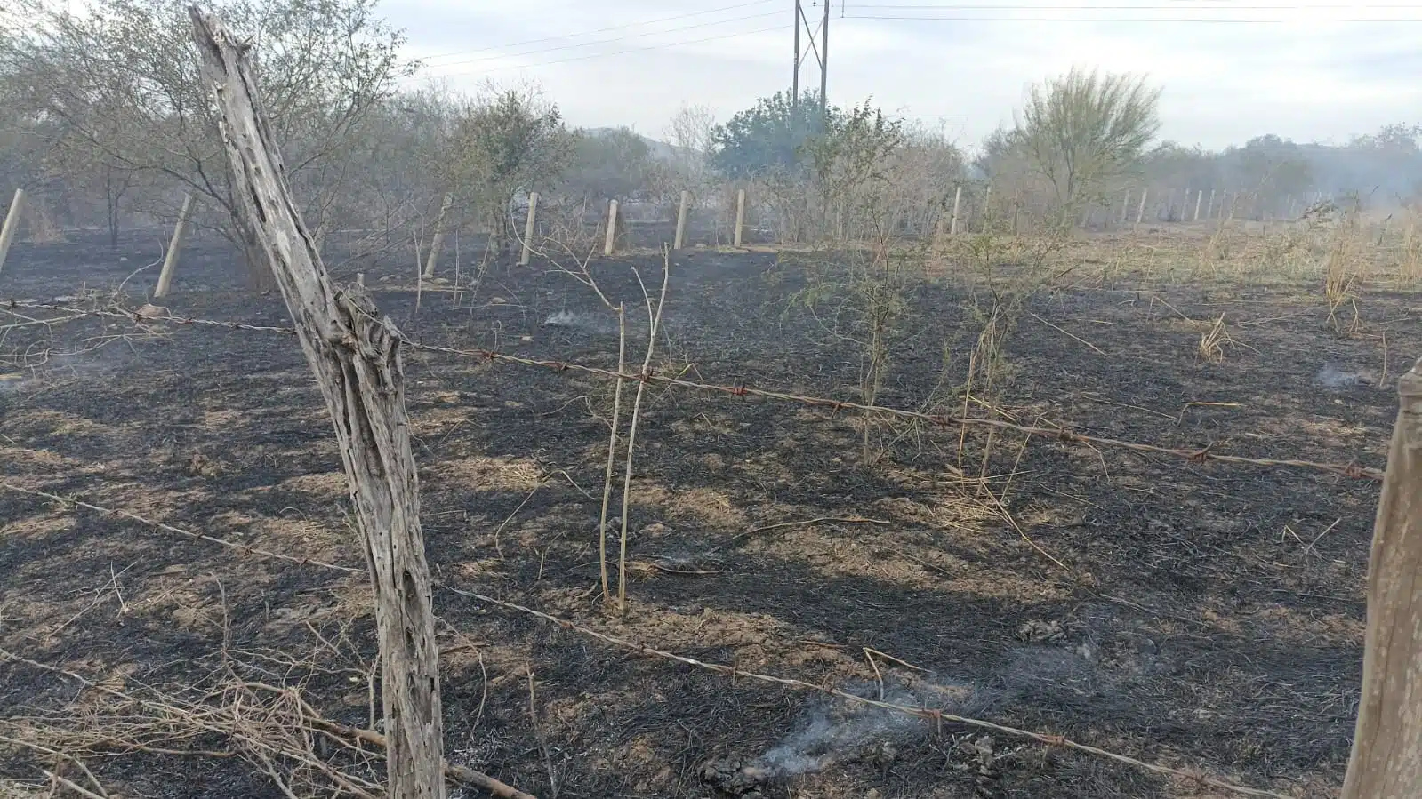 Incendio de un terreno baldío en Mazatlán