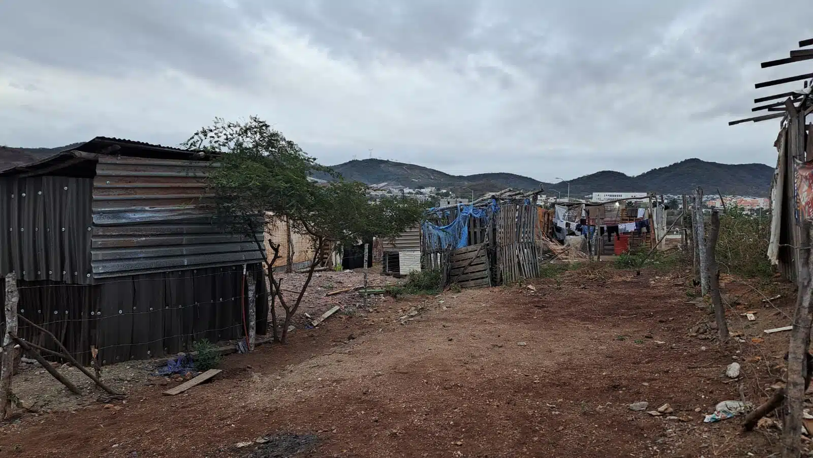 Casas de madera en Invasión Santana en Mazatlán