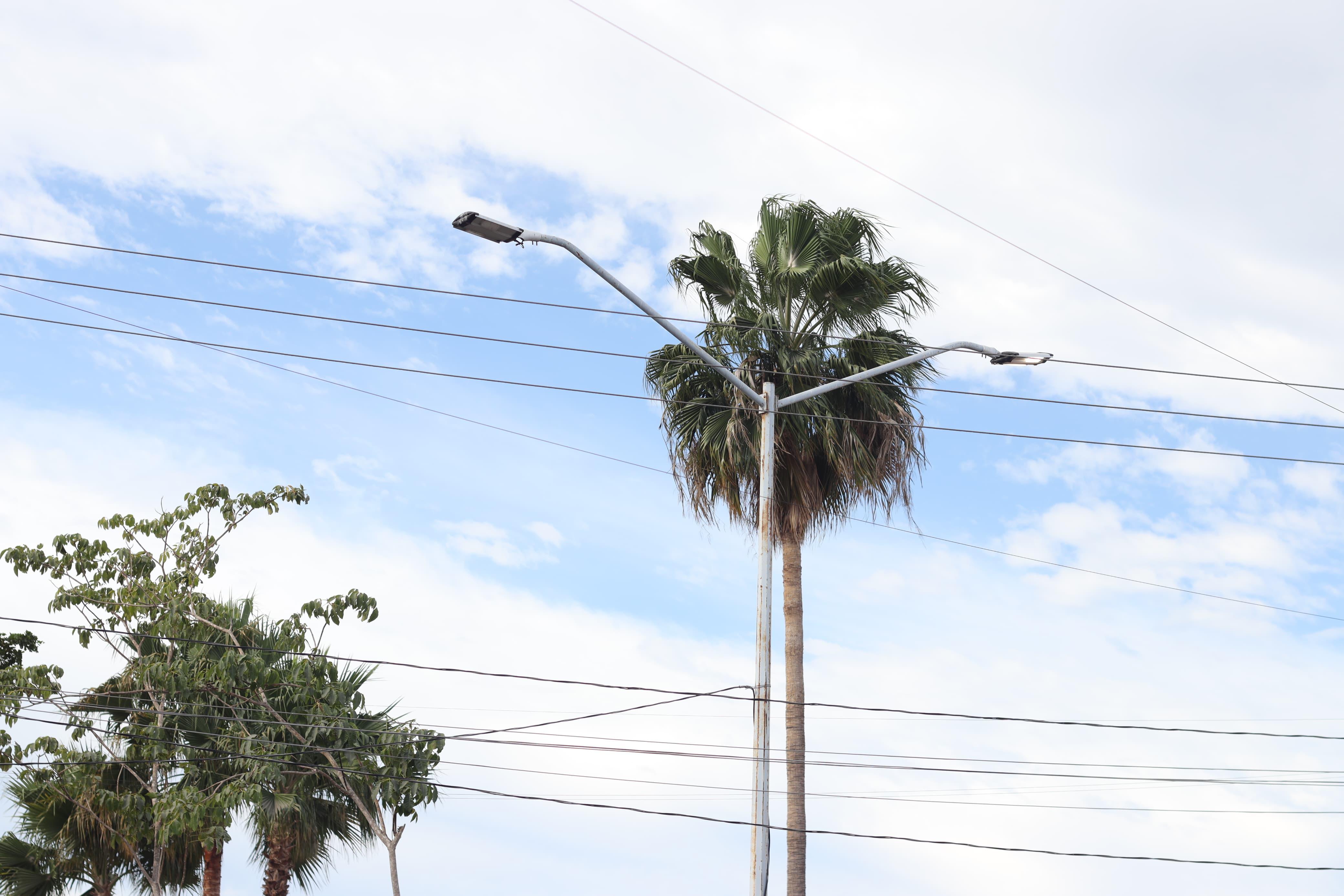 Van a sustituir aproximadamente 2 mil las lámparas Led en Los Mochis.