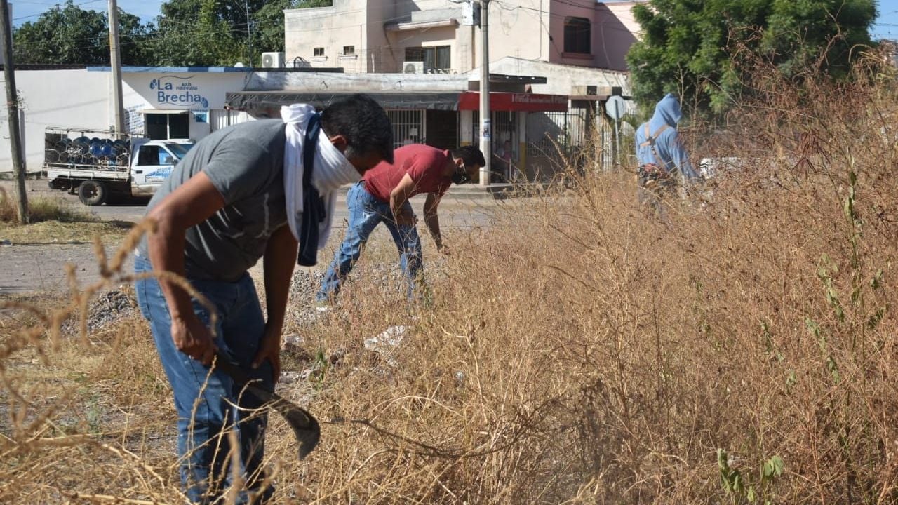 Limpieza de baldíos enmontados y llenos de basura