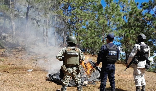 militares quemando droga