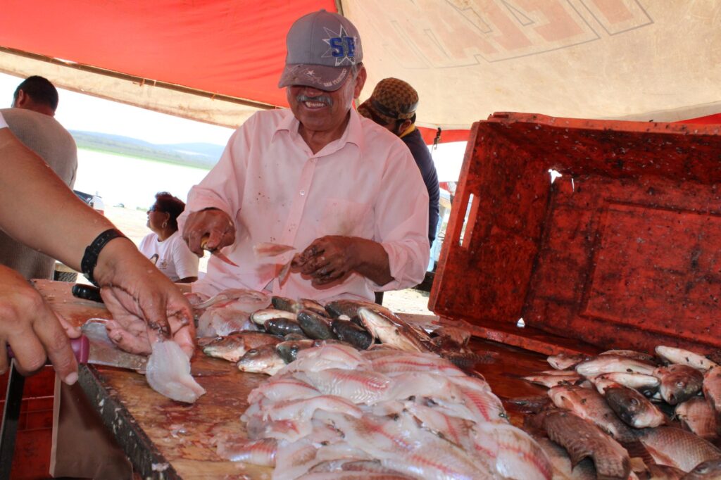 Pescado y filete en Guamúchil