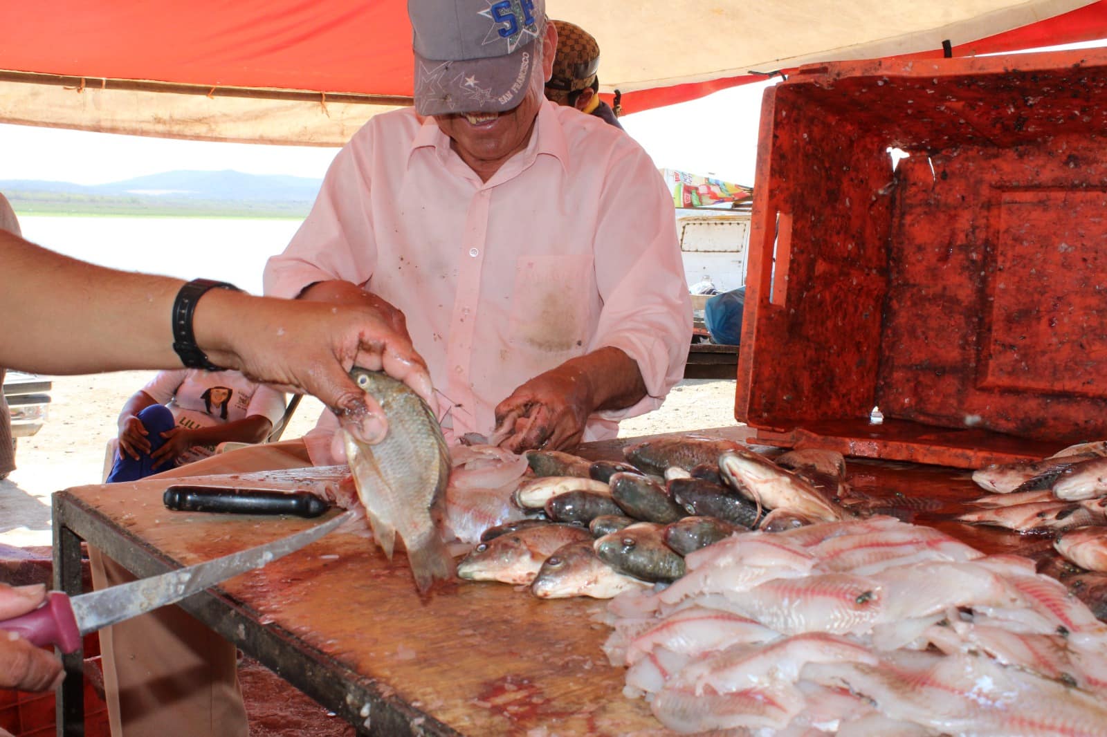 Pescado y filete en Guamúchil