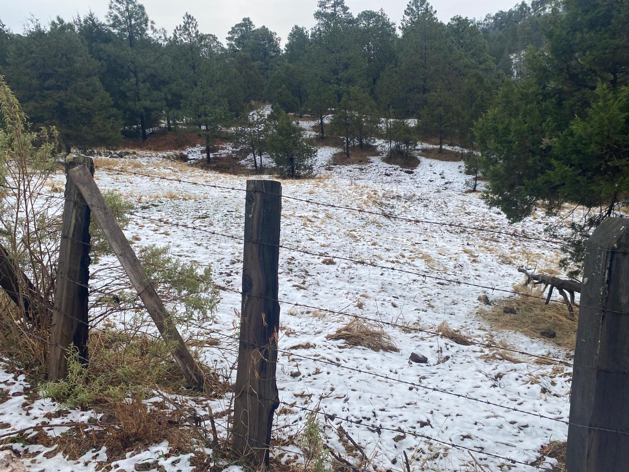 Sierra de Badiraguato cubierto de blanco por la caída de nieve