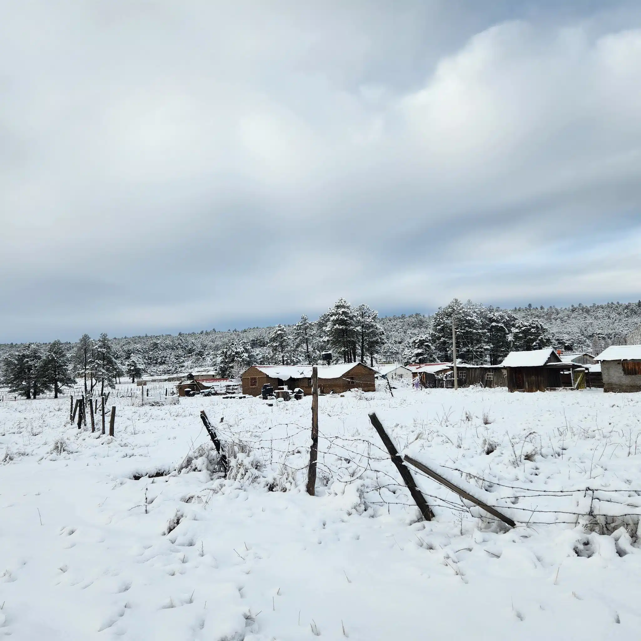Cierran tramos carreteros en Chihuahua por tormenta de nieve