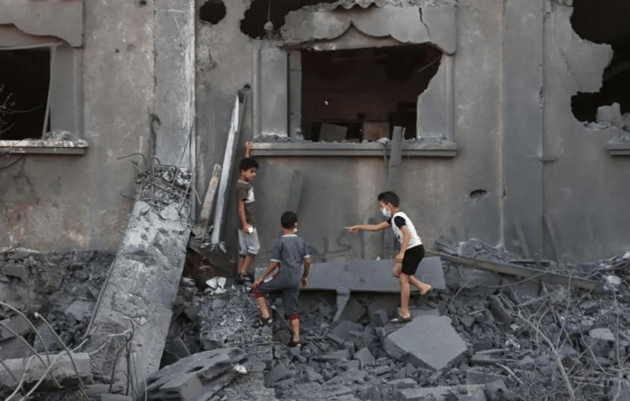 Alimentan a niños con comida para caballos y pájaros en Gaza