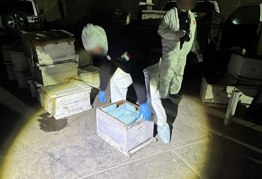 Operativo de agentes de la FGR revisando cajas de madera con panales y droga