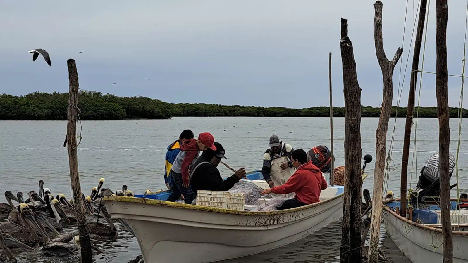 Panga en donde pesca en el mar en el campo pesquero El Colorado