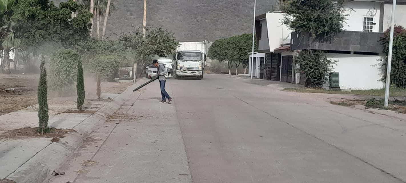 Limpieza de un parque en una colonia de Los Mochis