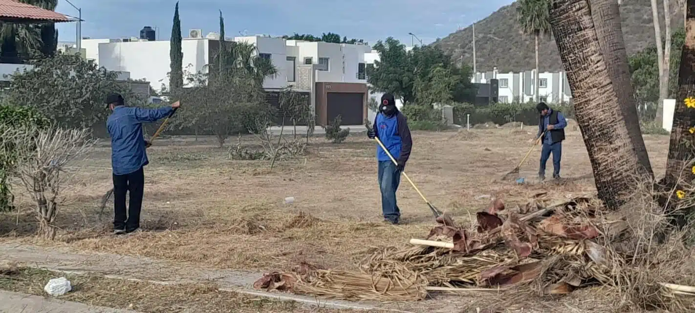 Limpieza de un parque en una colonia de Los Mochis