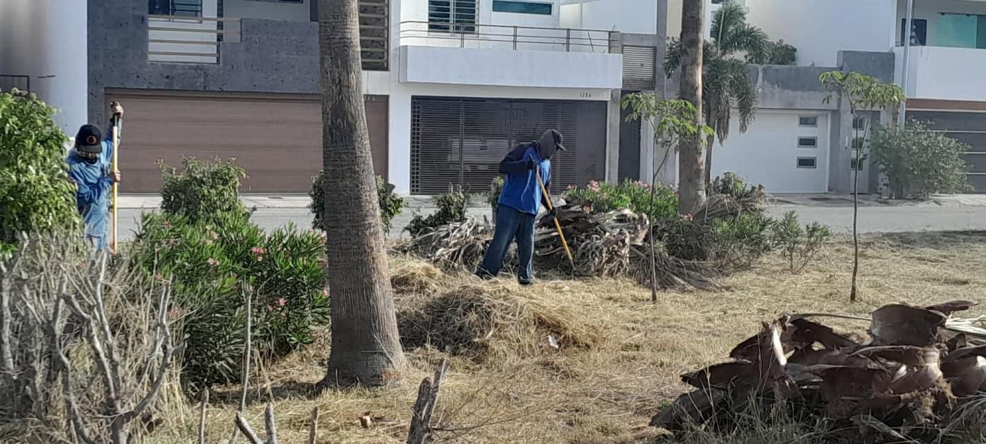 Limpieza de un parque en una colonia de Los Mochis