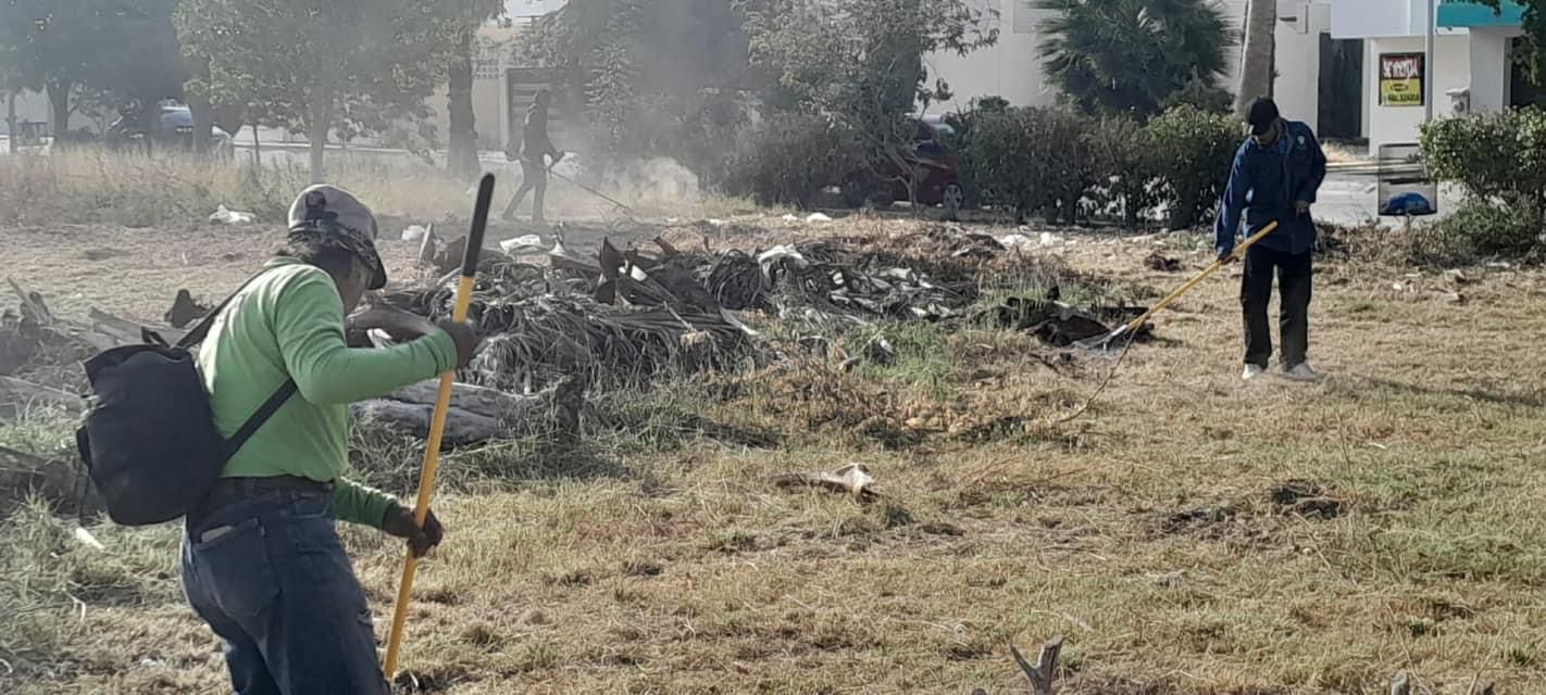 Limpieza de un parque en una colonia de Los Mochis