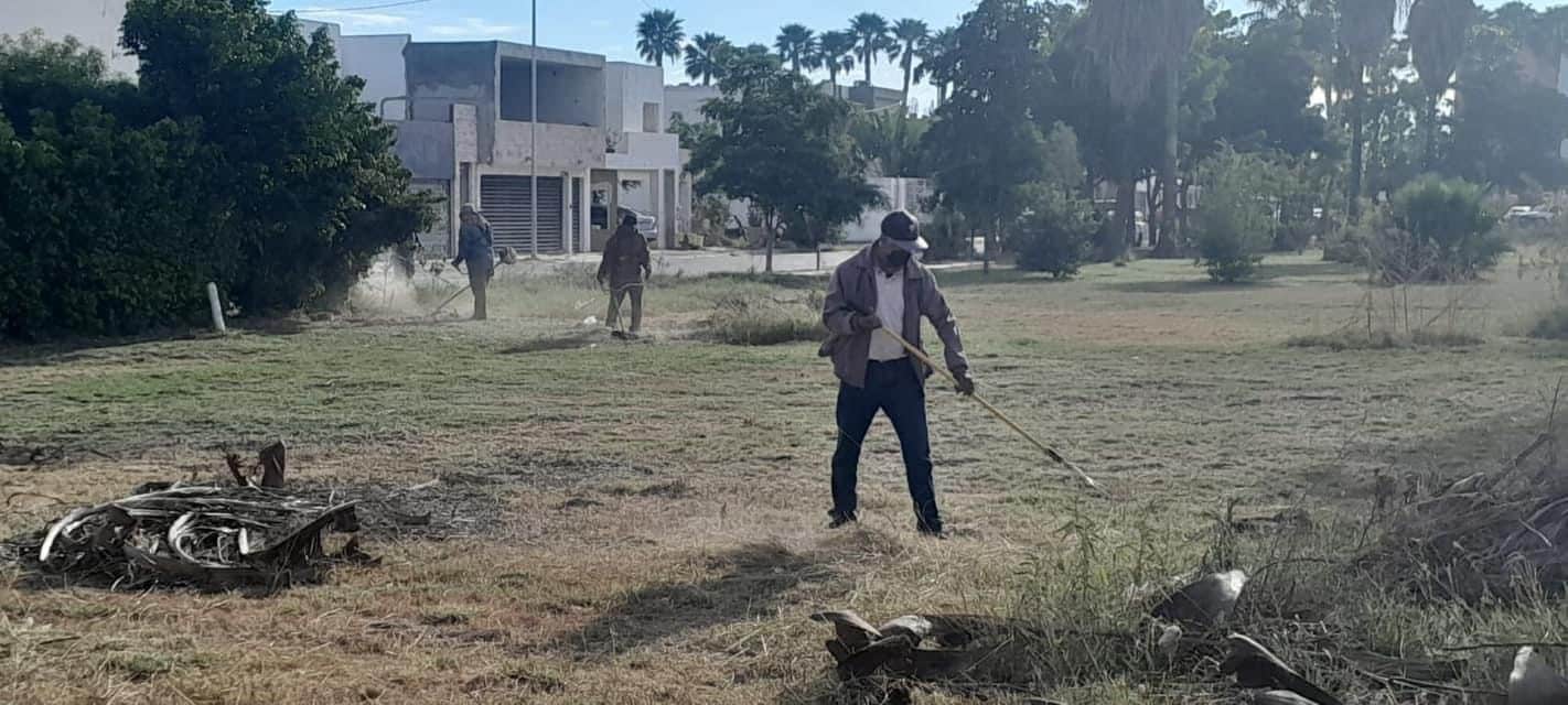 Limpieza de un parque en una colonia de Los Mochis