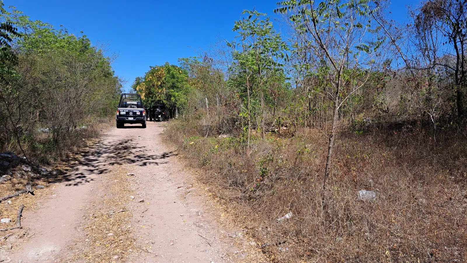 Patrulla de policía en un camino de terracería en Culiacán