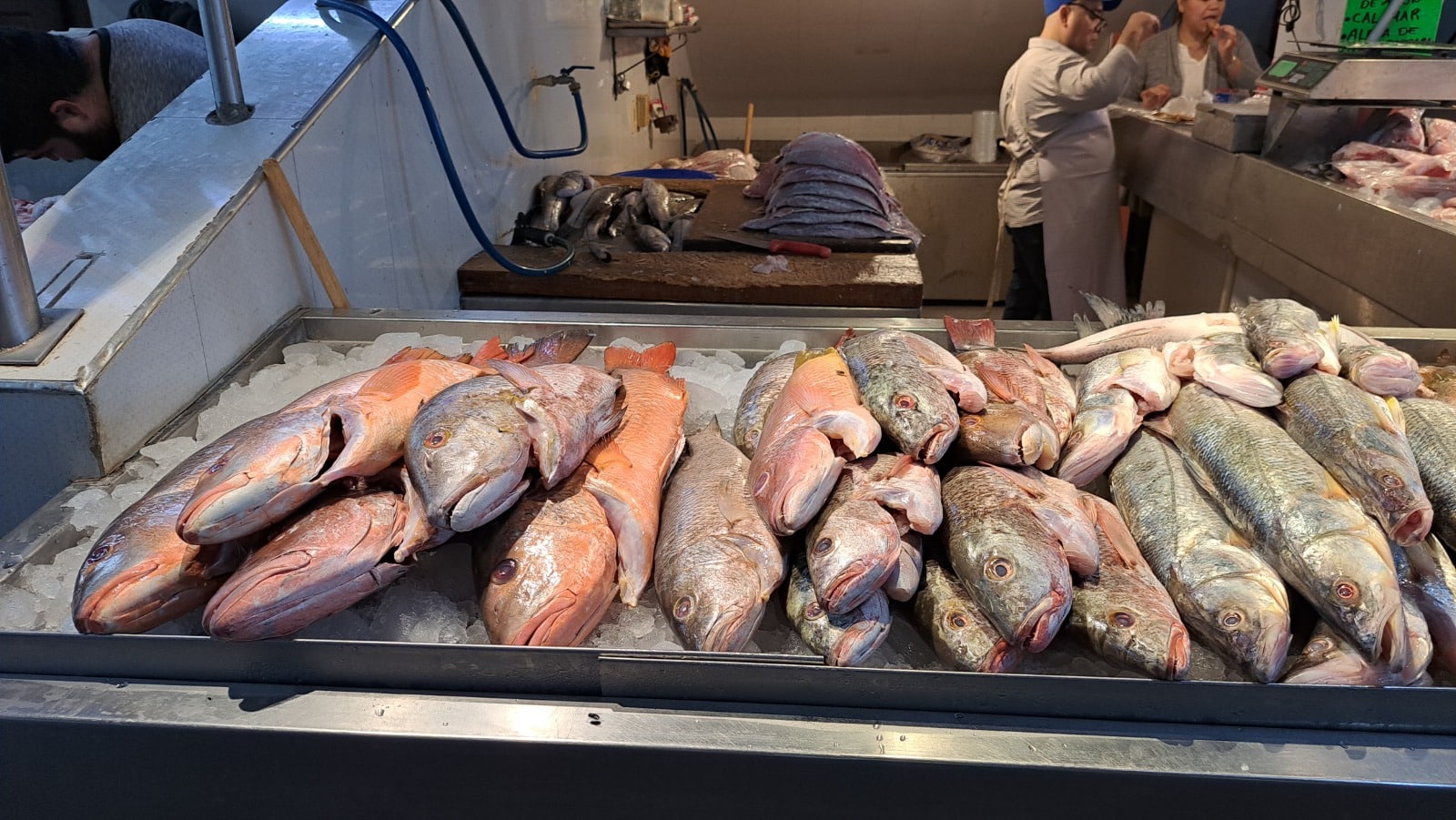 Pescado en el Mercado Municipal de Guamúchil