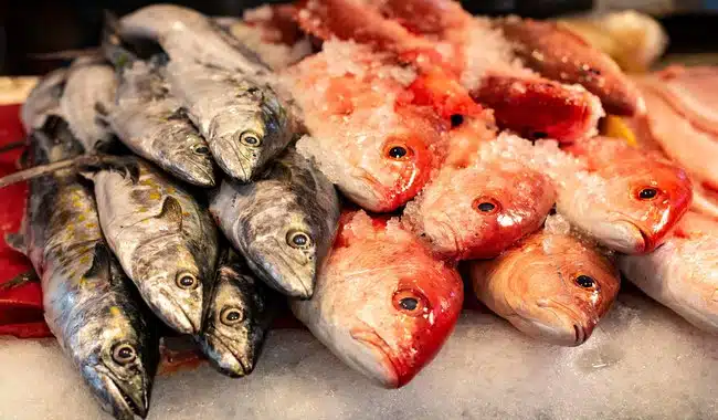 Pescados congelados