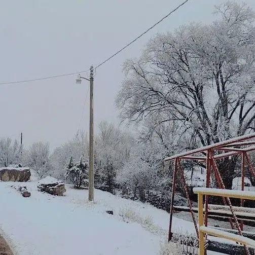 Por fuertes nevadas en Chihuahua cierran carreteras y suspenden clases