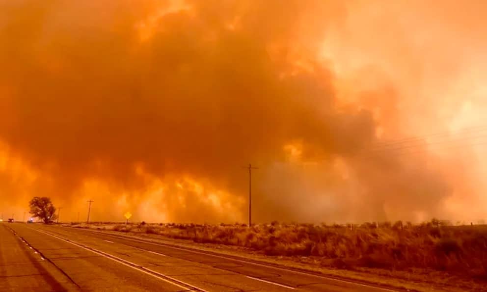 Reportan más de 200 mil hectáreas afectadas en Texas por incendios forestales