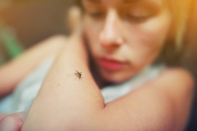 Río de Janeiro declara estado de emergencia ante epidemia de dengue