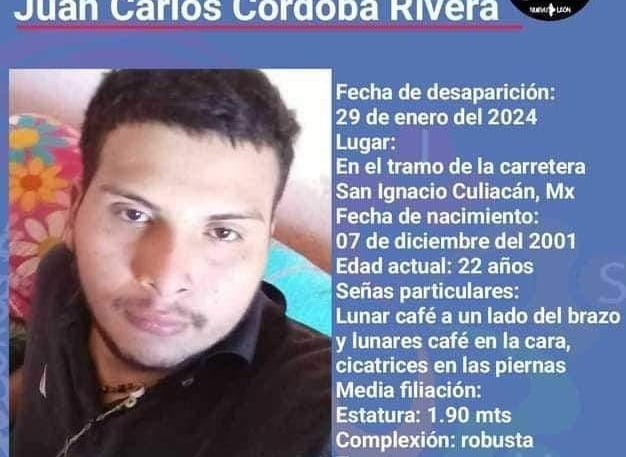 Ficha de búsqueda