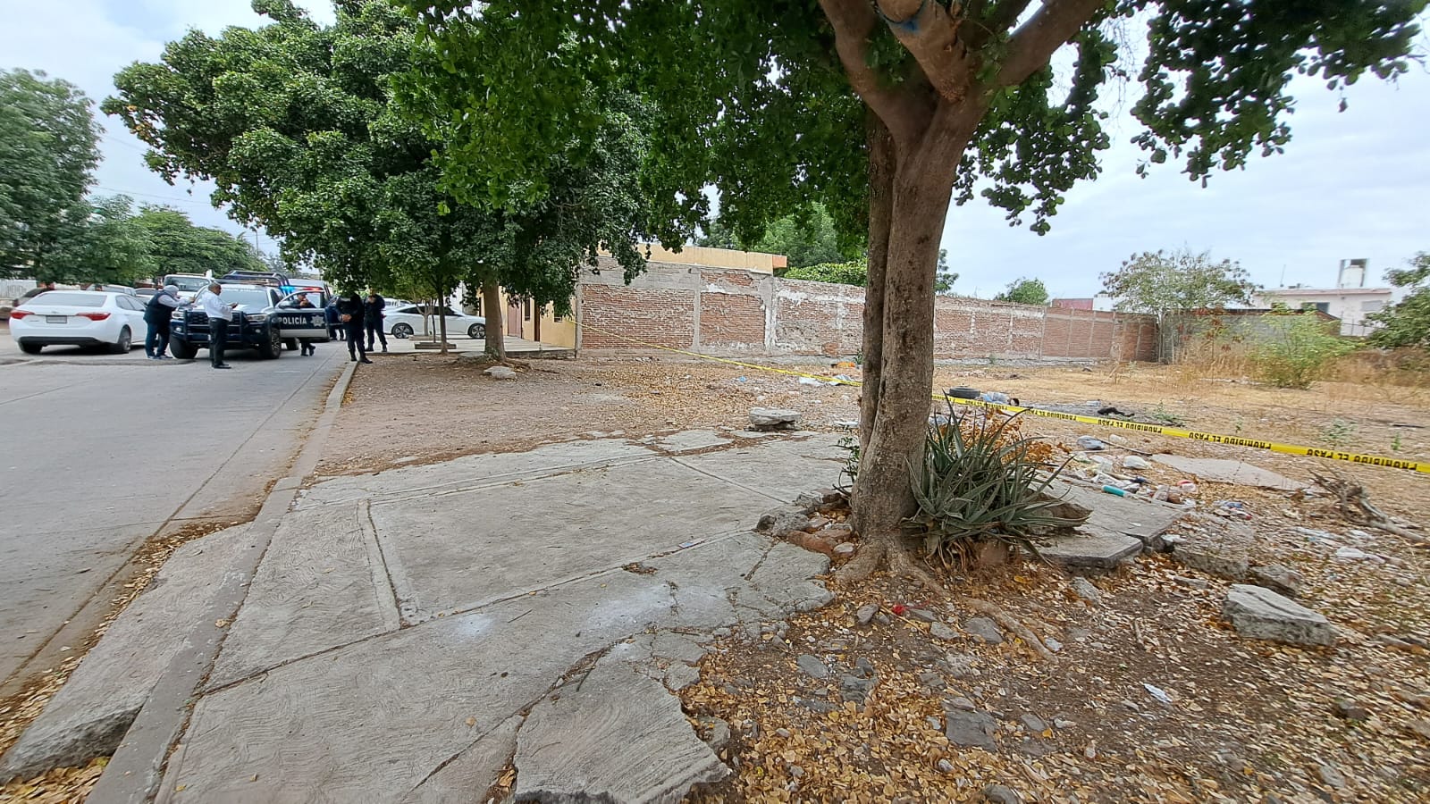 violencia en SInaloa