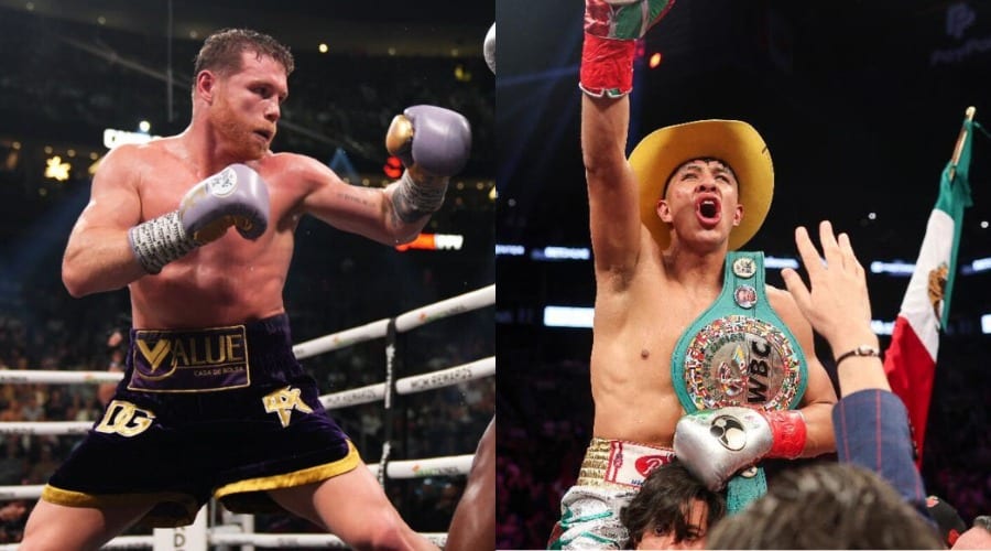 Boxeadores profesionales