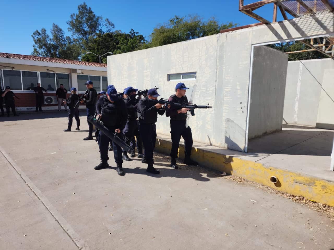 Cadetes Unipol