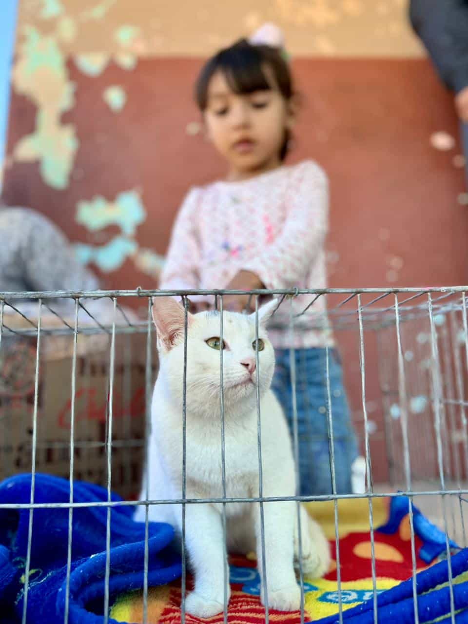 Niña con un gato en su jaula