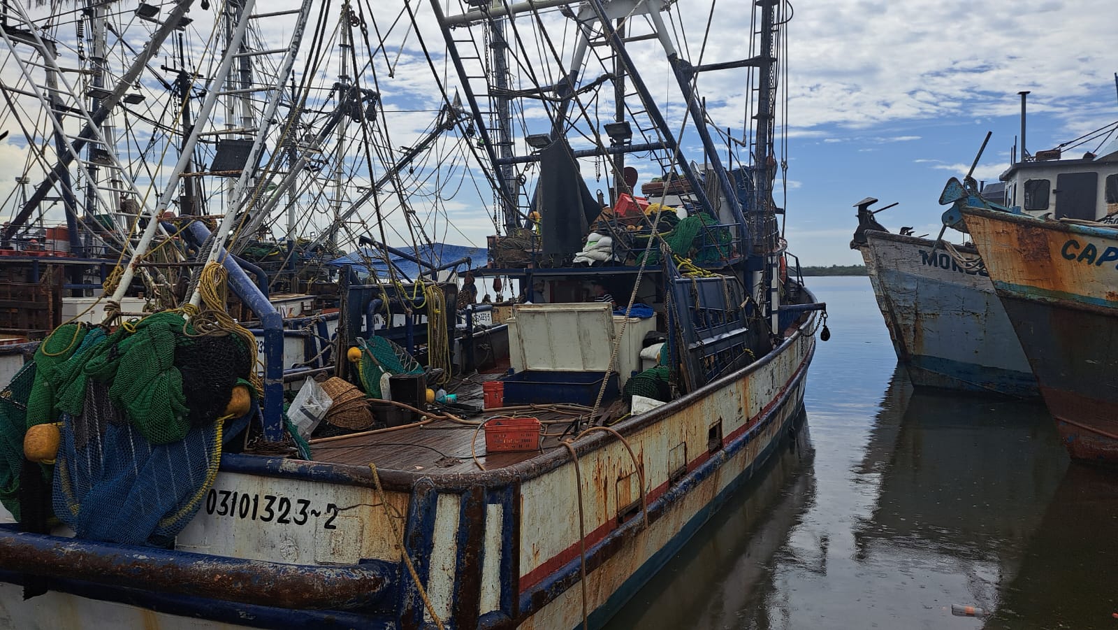 Barcos camaroneros en puerto
