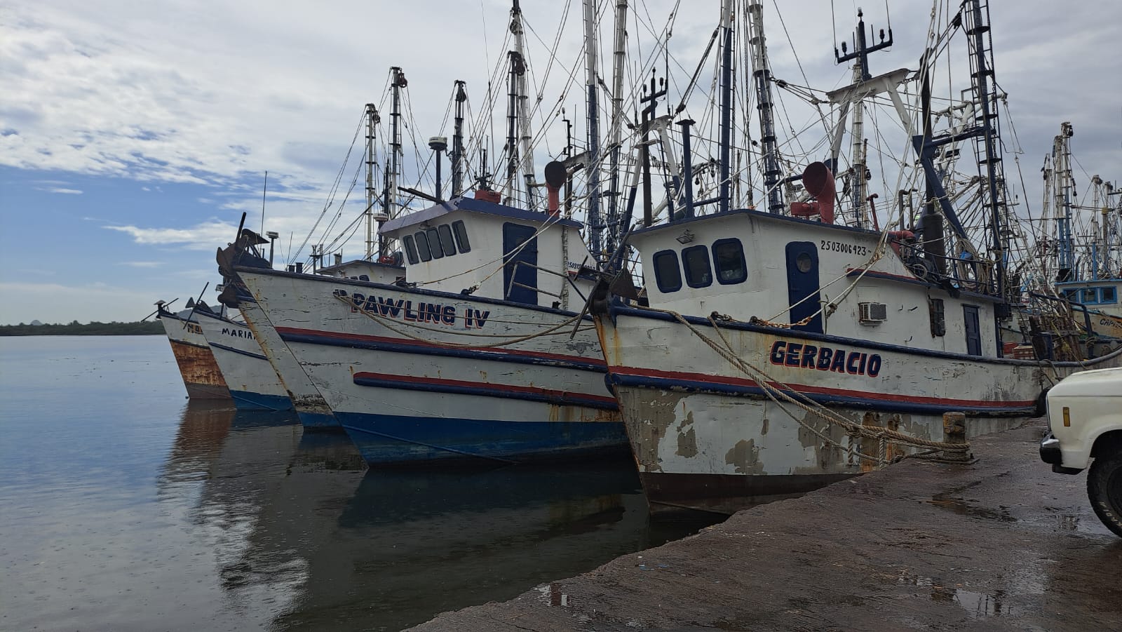 Barcos camaroneros en puerto
