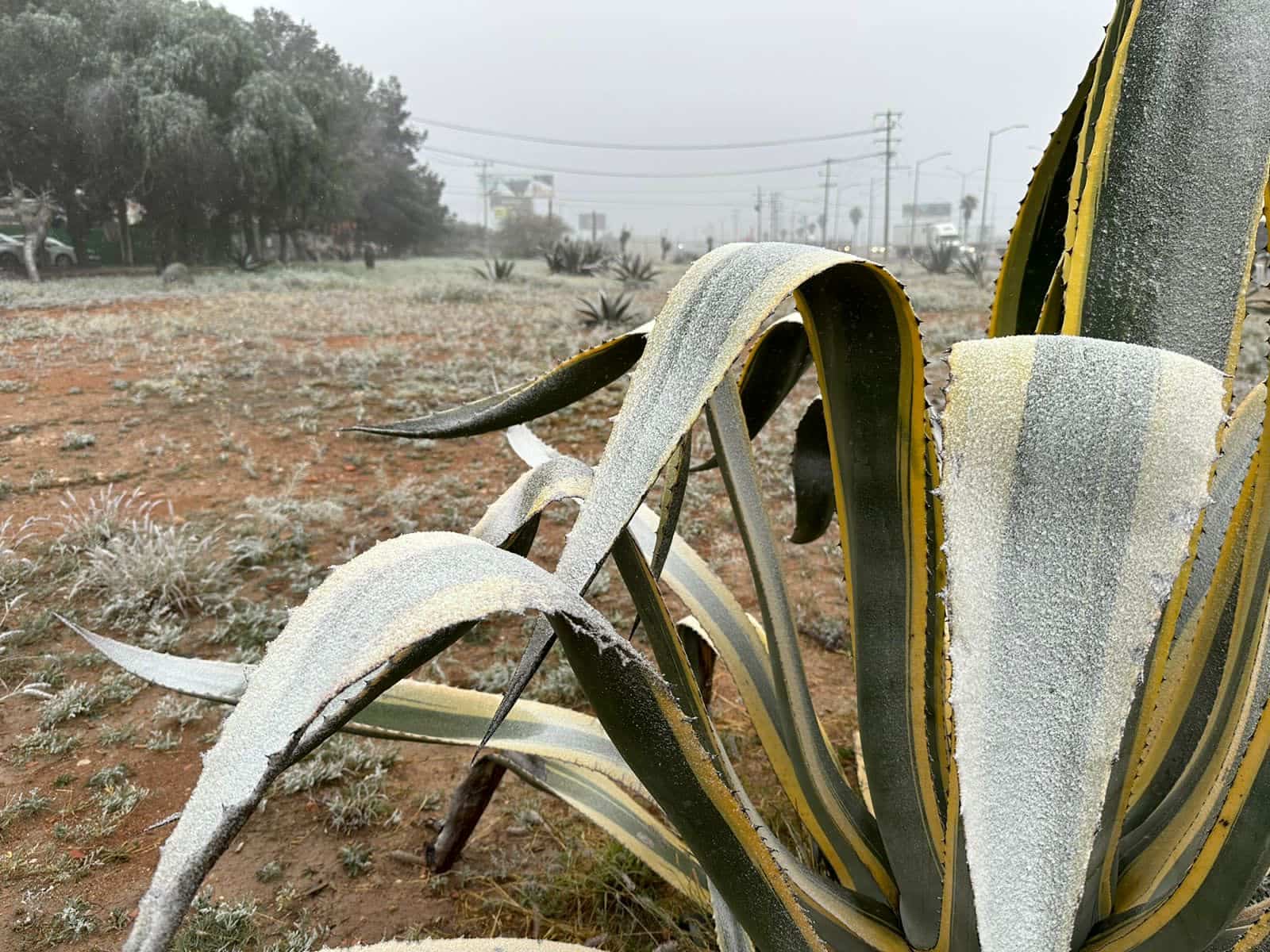 Agua nieve en México