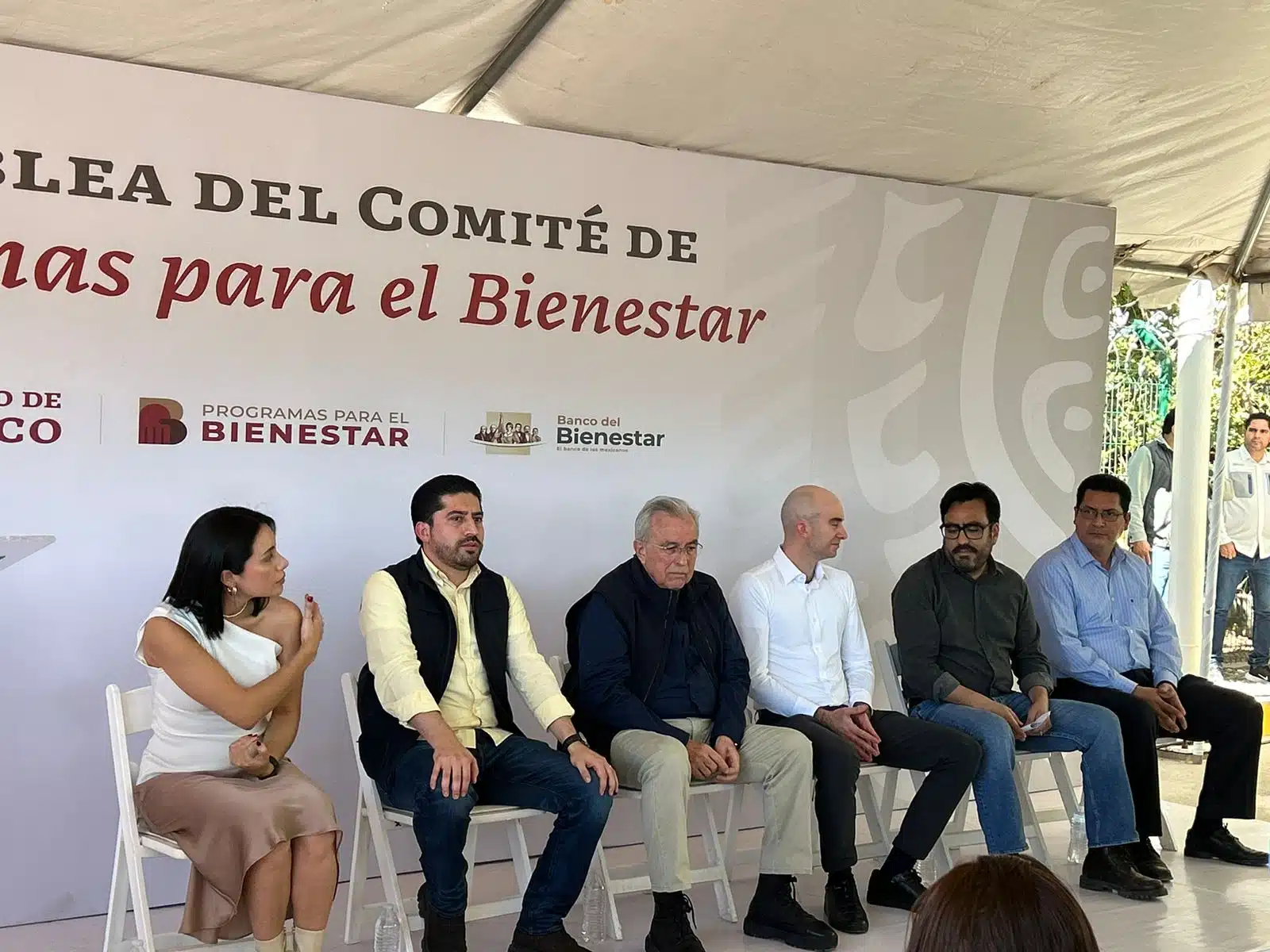 Comités de los Programas del Bienestar