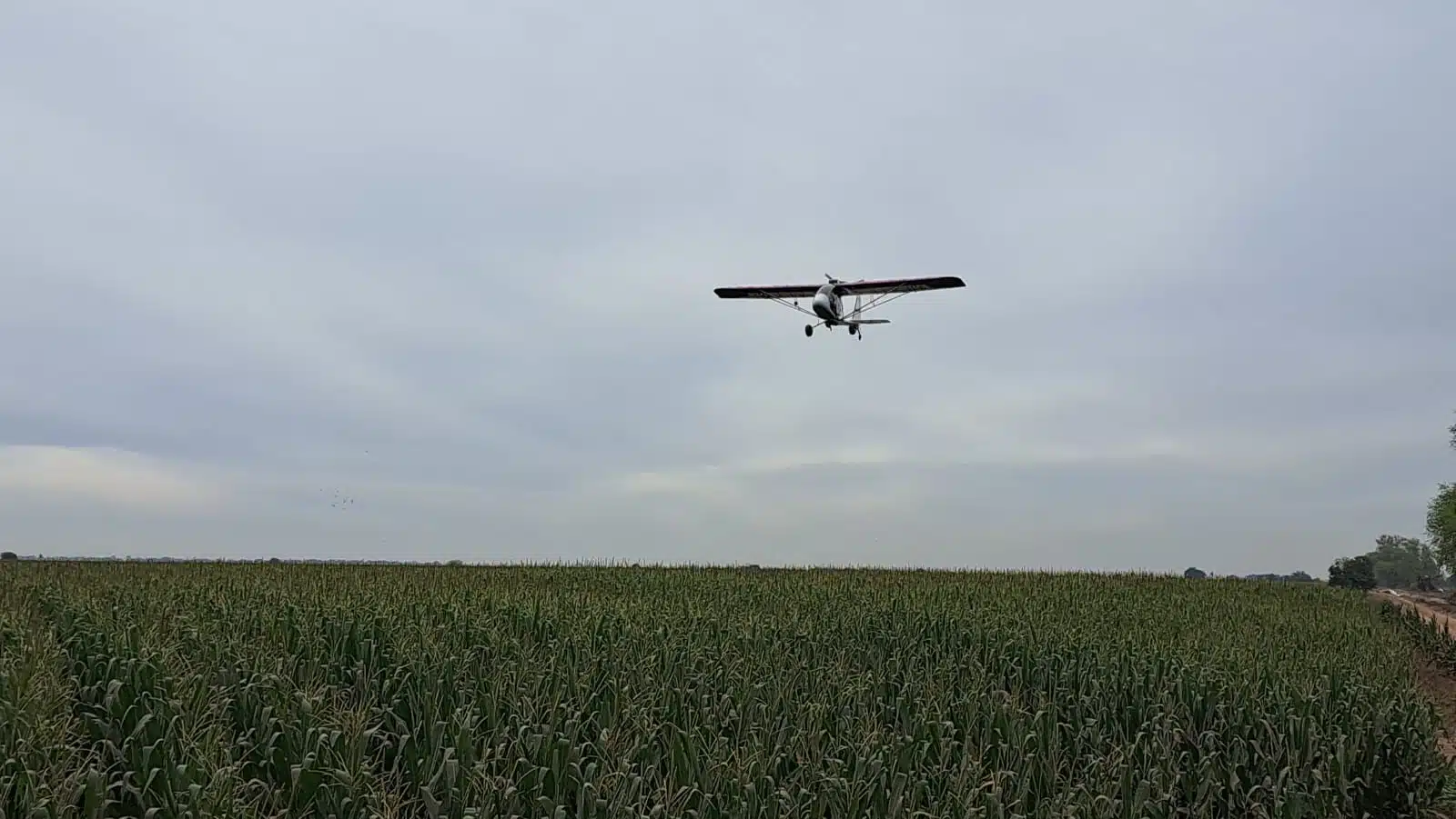 Avioneta sobrevolando sobre el campo agrícola