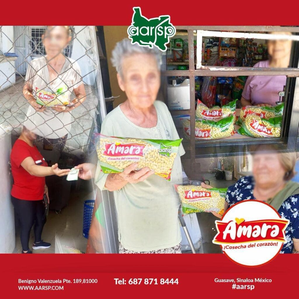 La Asociación de Agricultores del Río Sinaloa Poniente desde hace tres años inició con la maquila de frijol nuevo regional bajo la marca Amara.