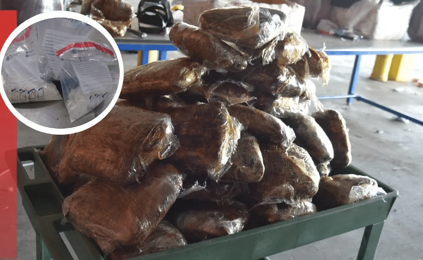 En Tamaulipas, decomisan más de 300 mil dólares en drogas