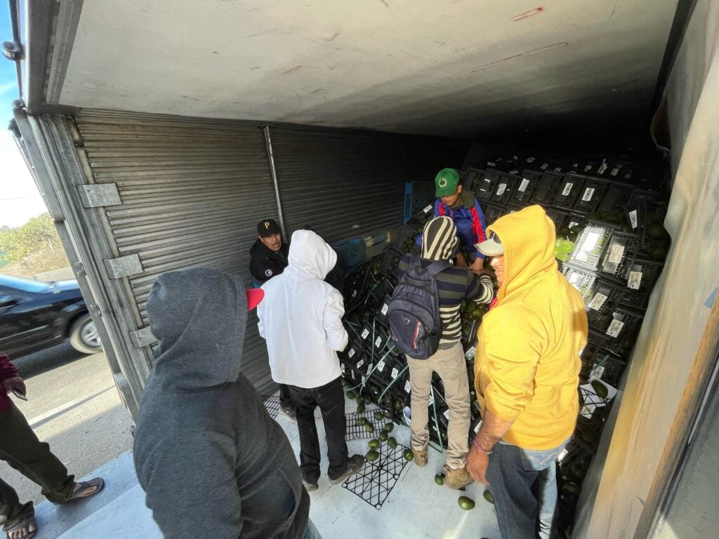 Personas ayudan a cargar cajas de aguacate tras volcadura de tráiler